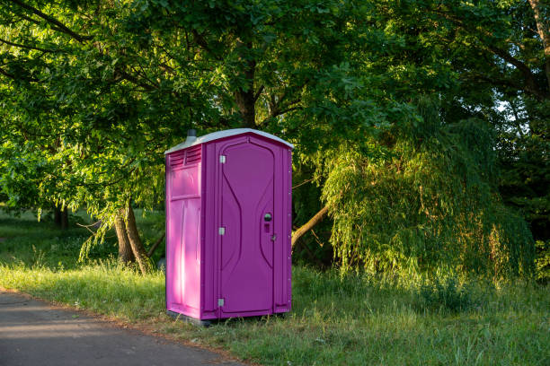 Best Affordable portable toilet rental  in Massanetta Springs, VA